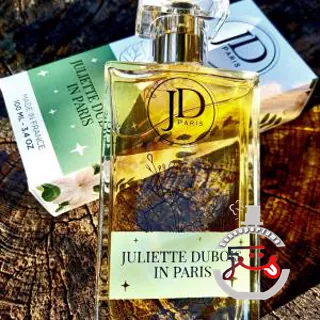 Juliette Dubois in Paris July St Barthelemy